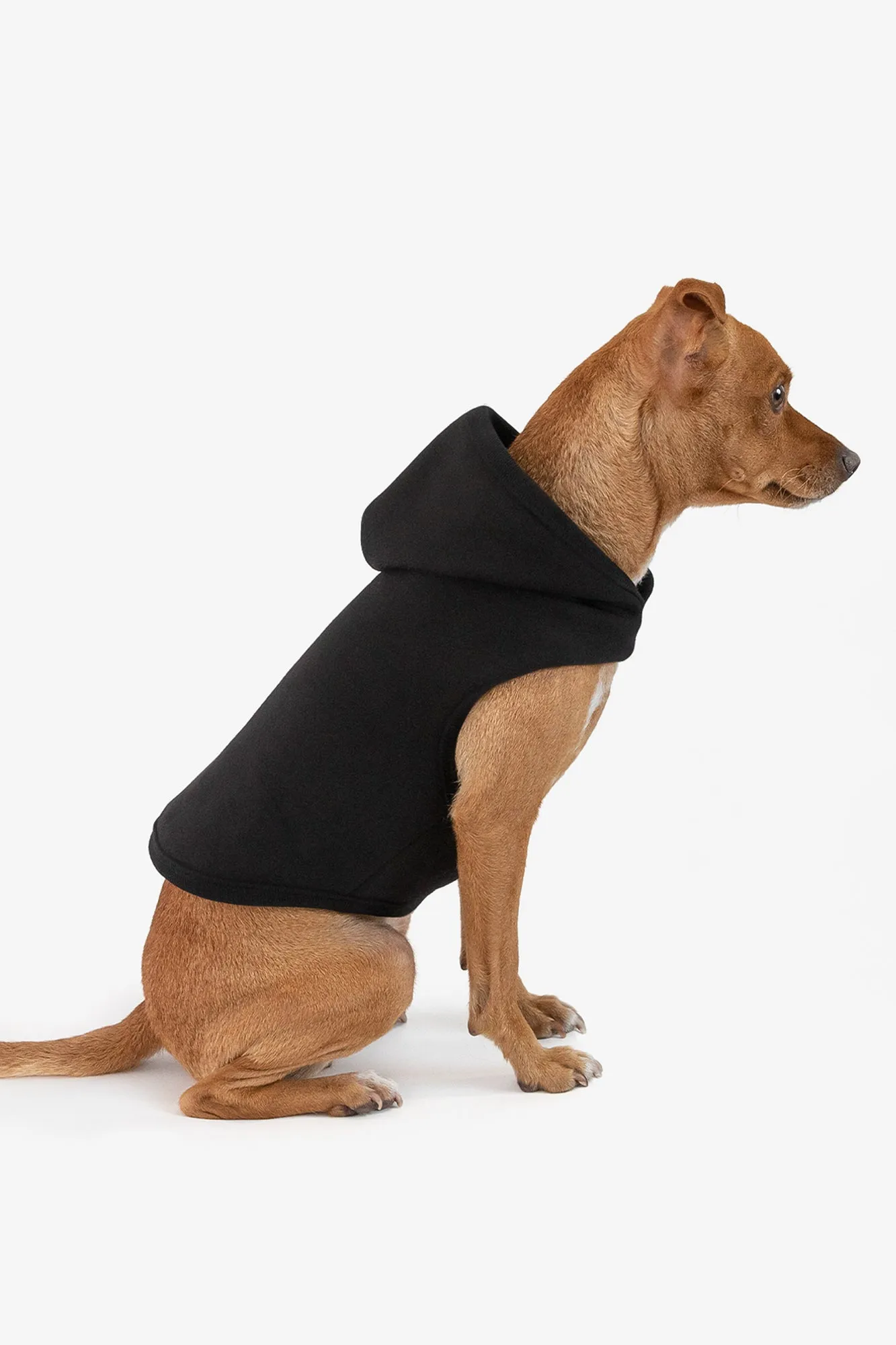 HF-DOGHOOD - Heavy Fleece Dog Sweater